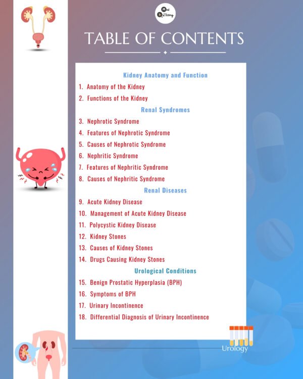 Decoding Urology Illustrative Mnemonics Flashbook - Image 3