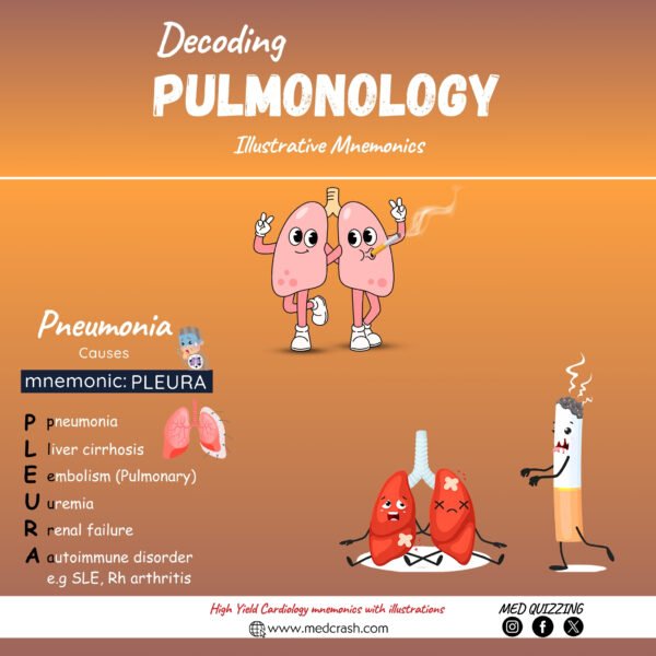 Combo (Flashbooks+Flashcards) - Image 6