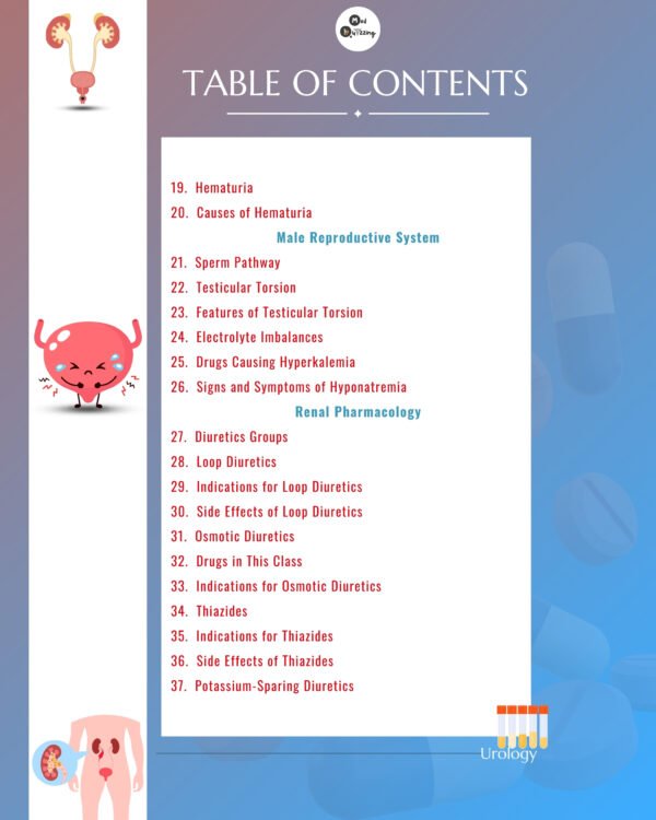 Decoding Urology Illustrative Mnemonics Flashbook - Image 4