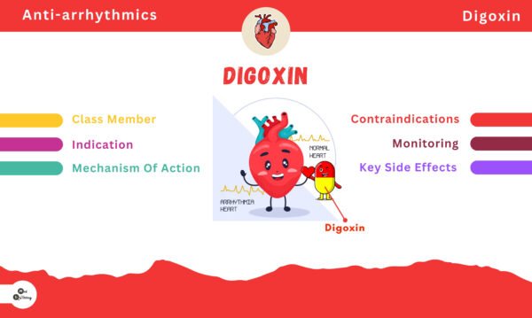 Flashcard Bundle (Cardiovascular + Radiology) - Image 9