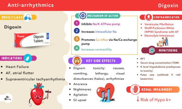 Flashcard Bundle (Cardiovascular + Radiology) - Image 10