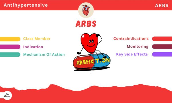Flashcard Bundle (Cardiovascular + Radiology) - Image 7