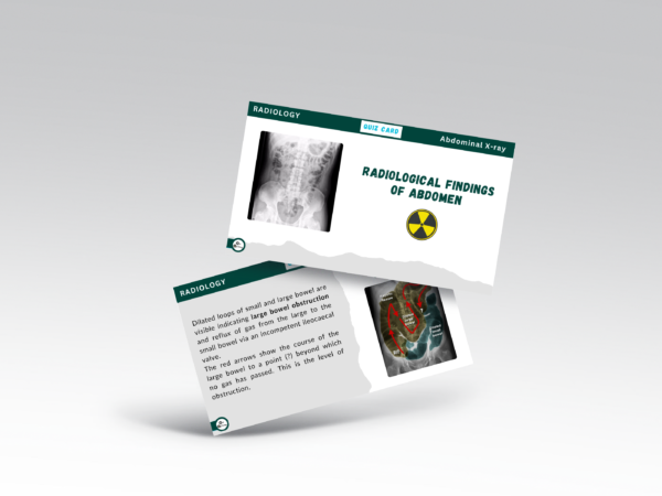 Flashcard Bundle (Cardiovascular + Radiology) - Image 4
