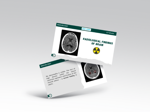 Flashcard Bundle (Cardiovascular + Radiology) - Image 2