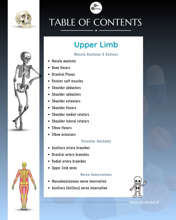 Decoding Musculoskeletal Upper & Lower Limb Illustrative Mnemonics - Image 4