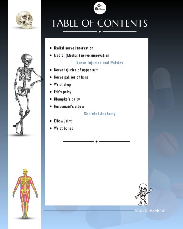 Decoding Musculoskeletal Upper & Lower Limb Illustrative Mnemonics - Image 5