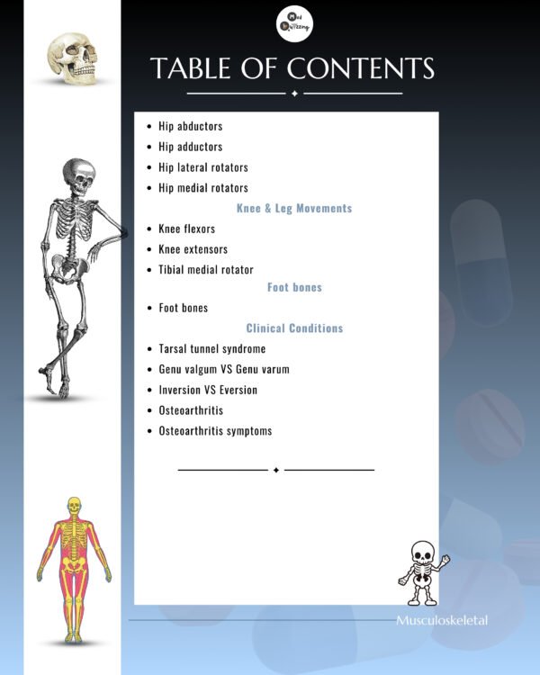 Decoding Musculoskeletal Upper & Lower Limb Illustrative Mnemonics - Image 7