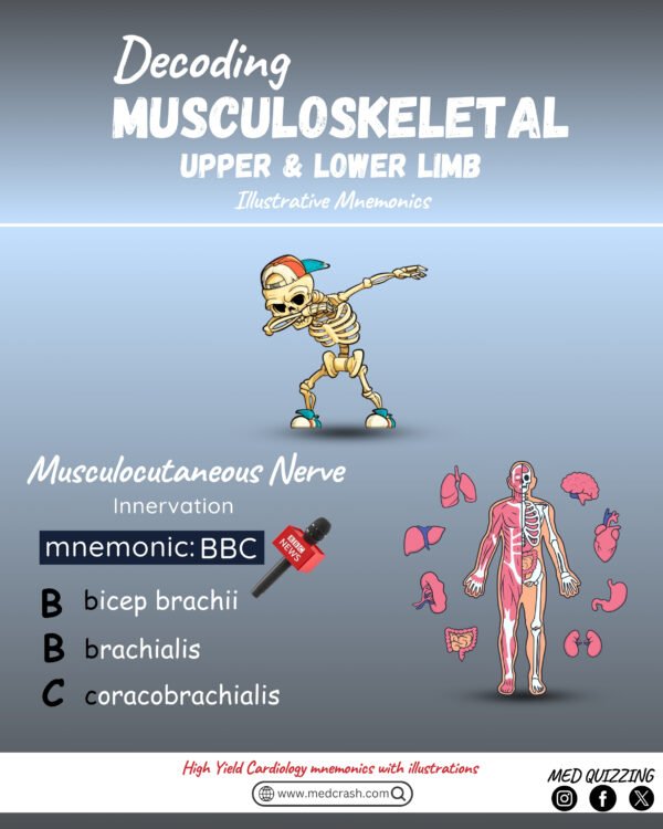 Decoding Musculoskeletal Upper & Lower Limb Illustrative Mnemonics - Image 2