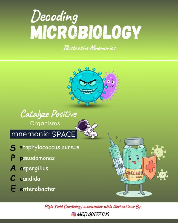 Complete Mnemonic Flashbook & Flashcard Bundle By Med Quizzing - Image 11