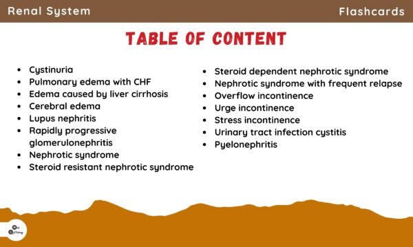 Flashcard Bundle (Cardiovascular + Radiology + Drug of Choice) - Image 21