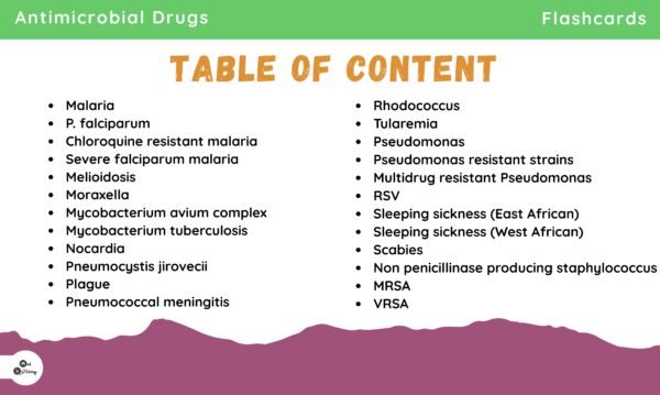 Flashcard Bundle (Cardiovascular + Radiology + Drug of Choice) - Image 17