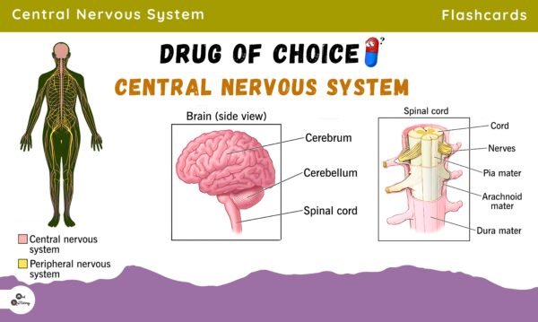 Drug of choice flashcards by Med Quizzing - Image 4